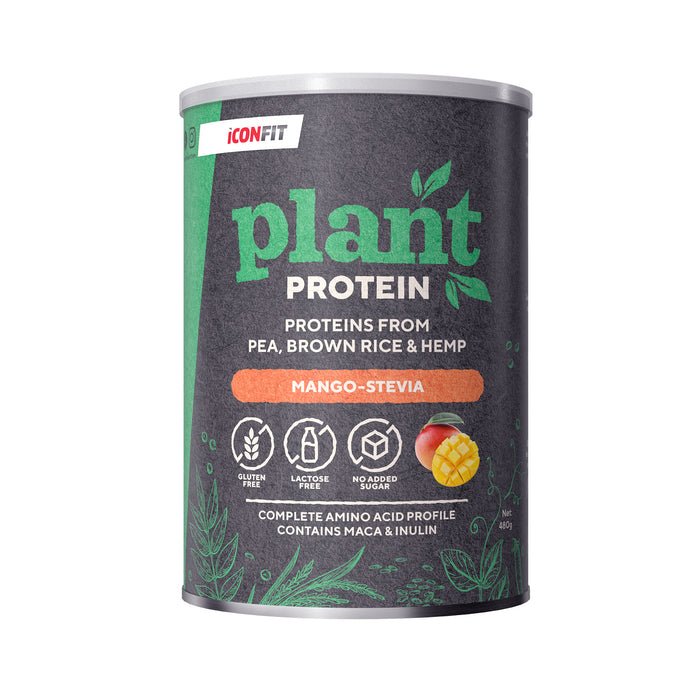 ICONFIT augaliniai baltymai 480g akcija
