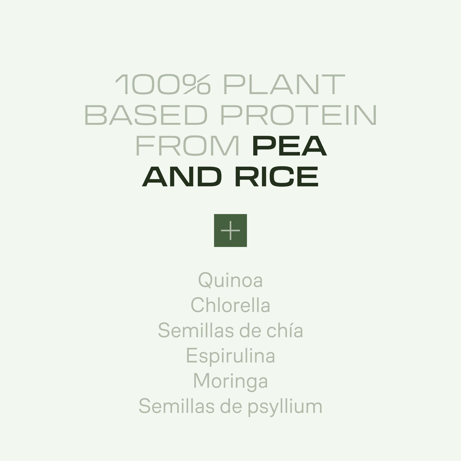 RU-beverly-infografia-vegan-protein-choco-cookies-12