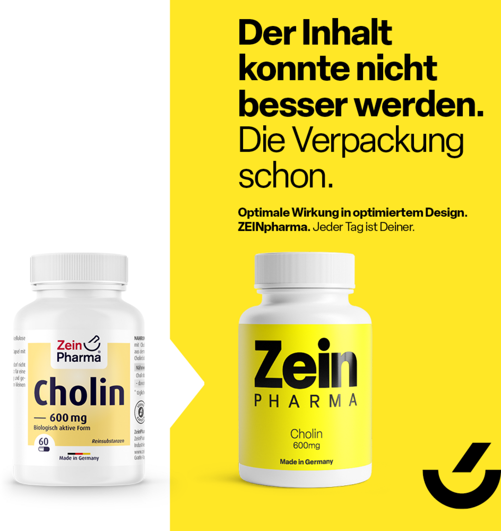 Zein Pharma Choline, 600mg - 60 caps