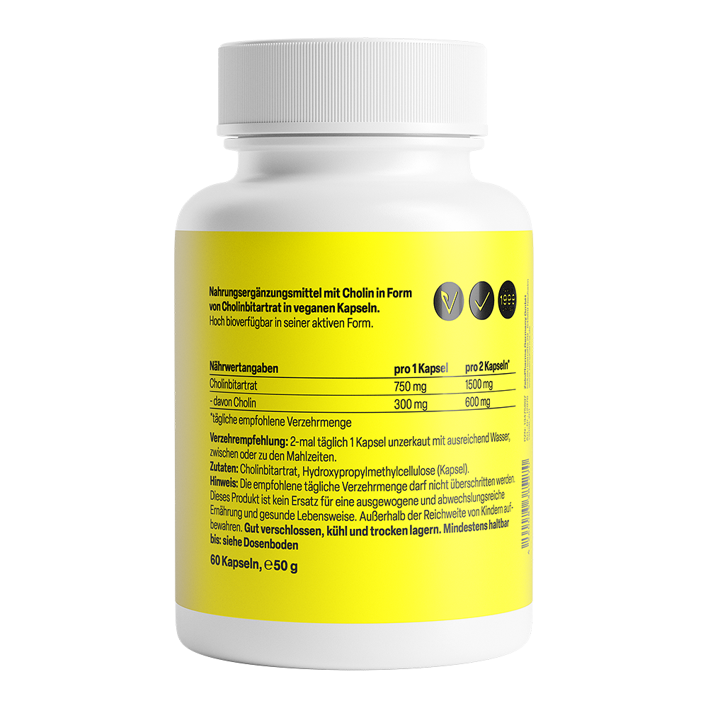 Zein Pharma Choline, 600mg - 60 caps