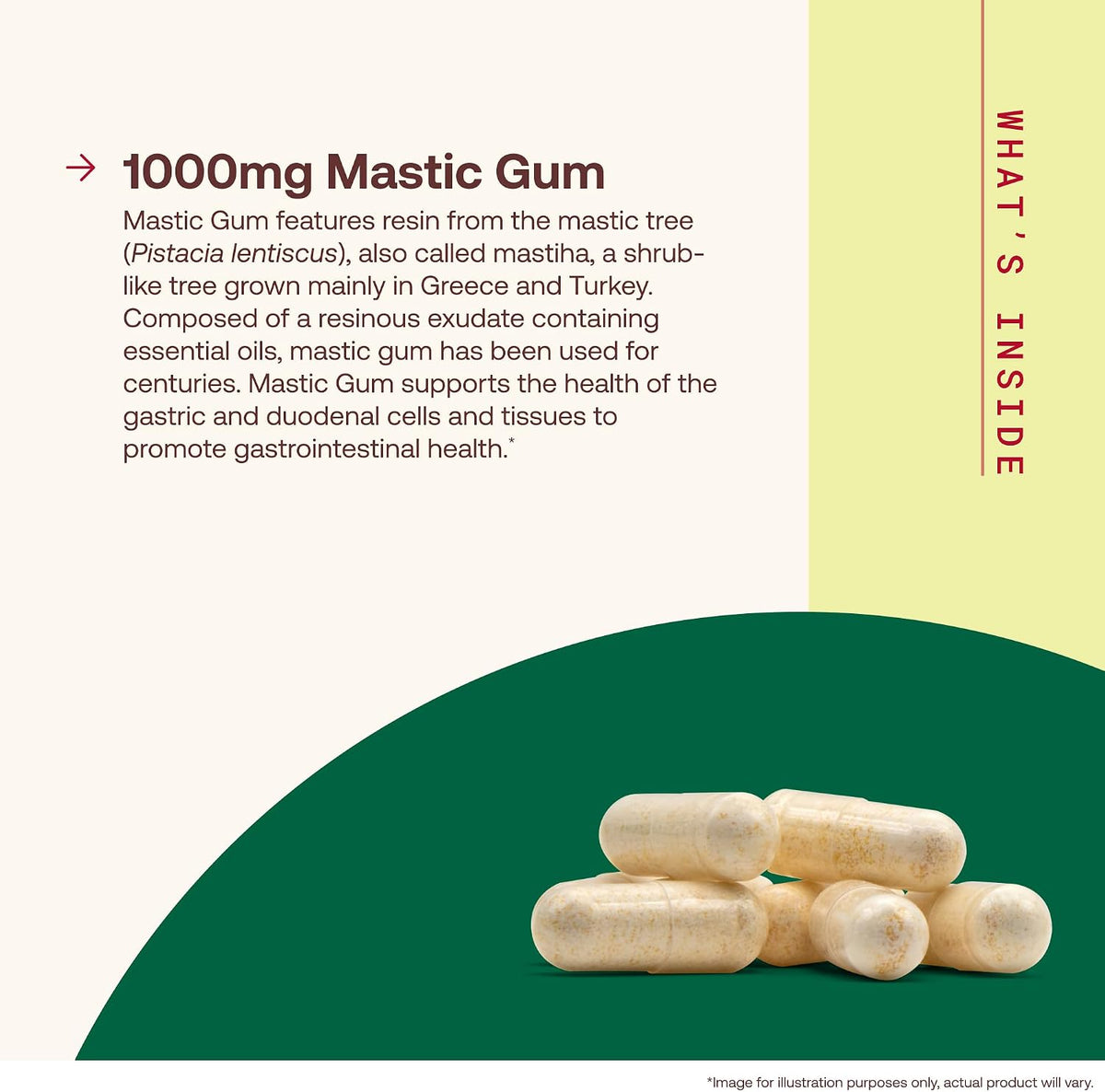 Jarrow Formulas Mastic Gum 1000 mg, 60 veg. kapsulių