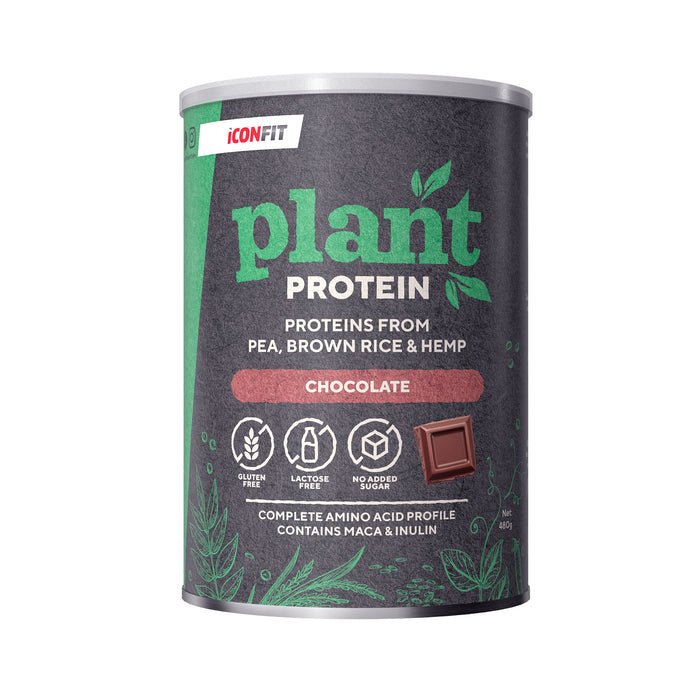ICONFIT augaliniai baltymai 480g kaina