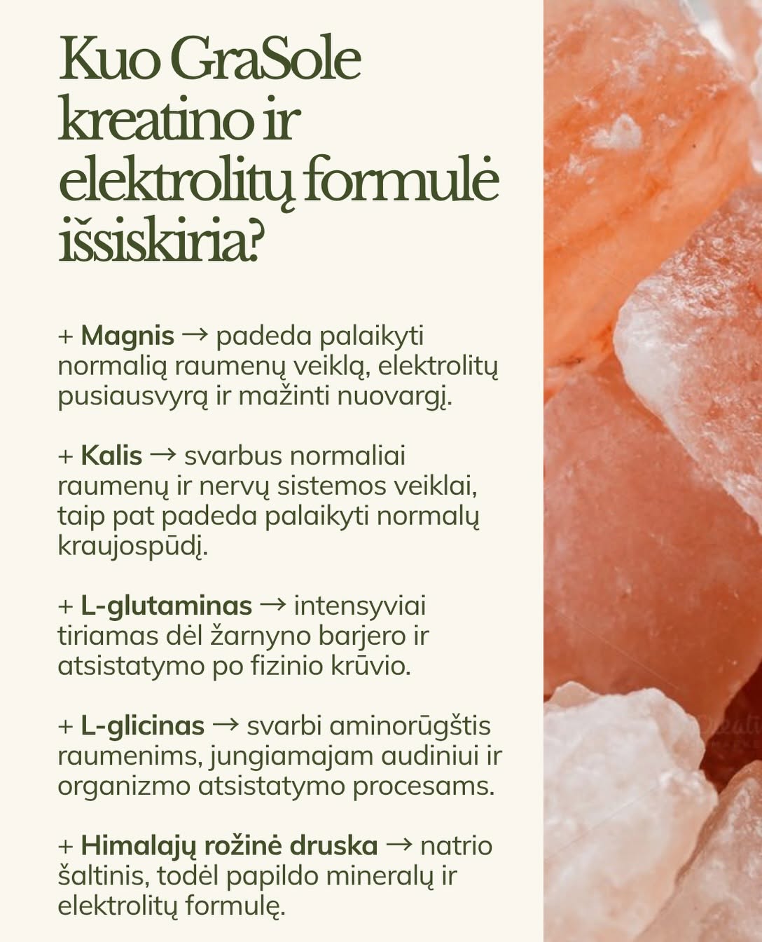 GraSole Hydracreatine + Electrolytes (be skonio)