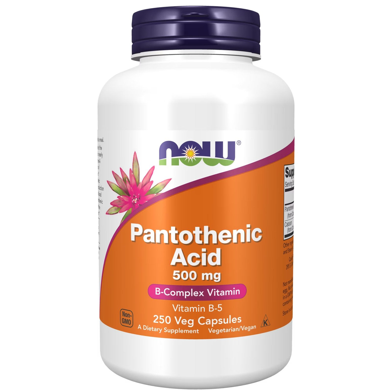 now pantothenic acid 100 veg capsules